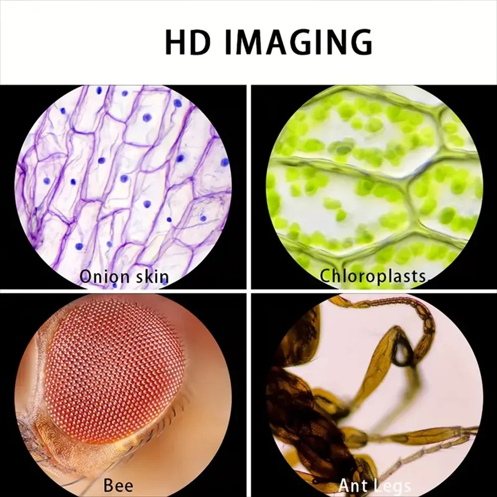 XC 현미경 60-120x 실험실 휴대용 현미경 LED - Microscope Kids Science 리뷰 및 가격