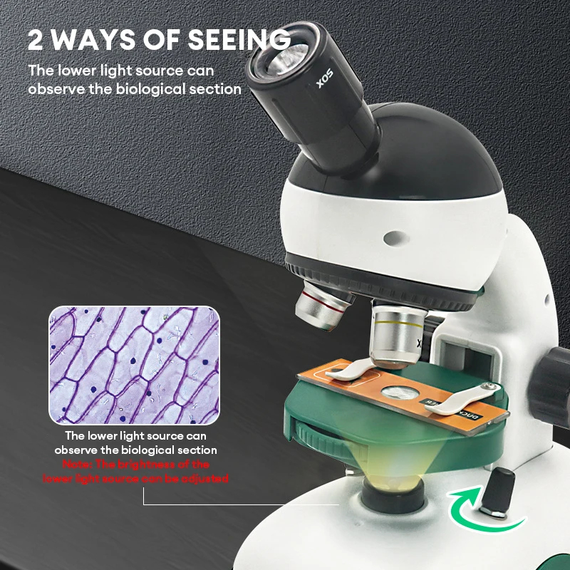 1200배율 어린이 과학 실험 HD 광학 현미경 장난감 - Microscope Kids Science 리뷰 및 가격